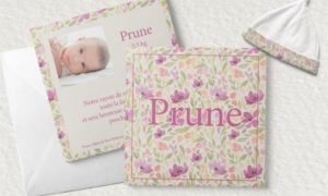 Prune Presentation