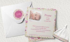 Prune Verso